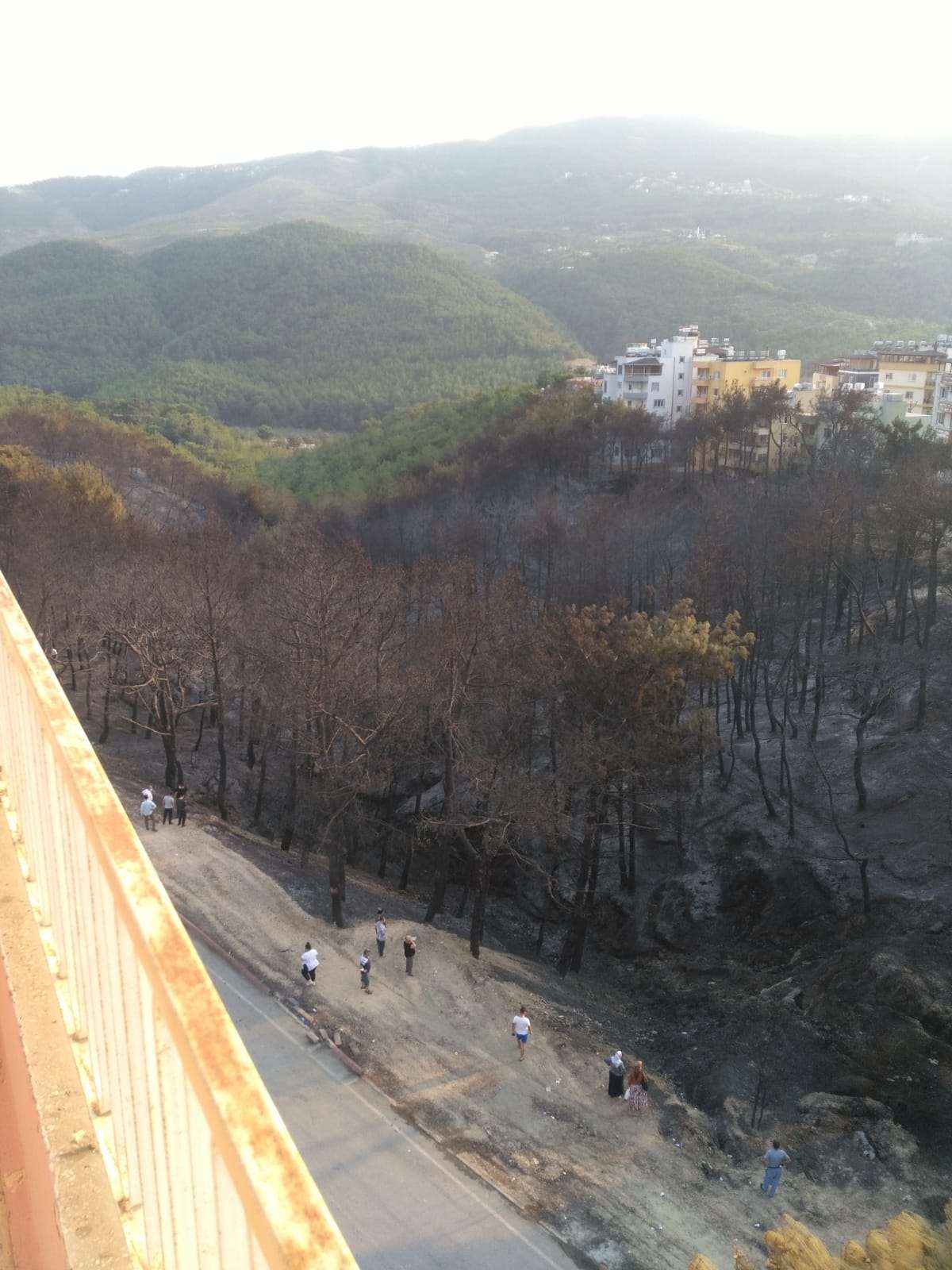 PAKDEMİRLİ:HATAY’DA YANGIN KONTROL ALTINA ALINDI