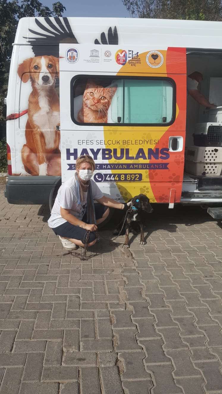 CAN DOSTLARINI SAHİPLENENLER ÇOĞALIYOR