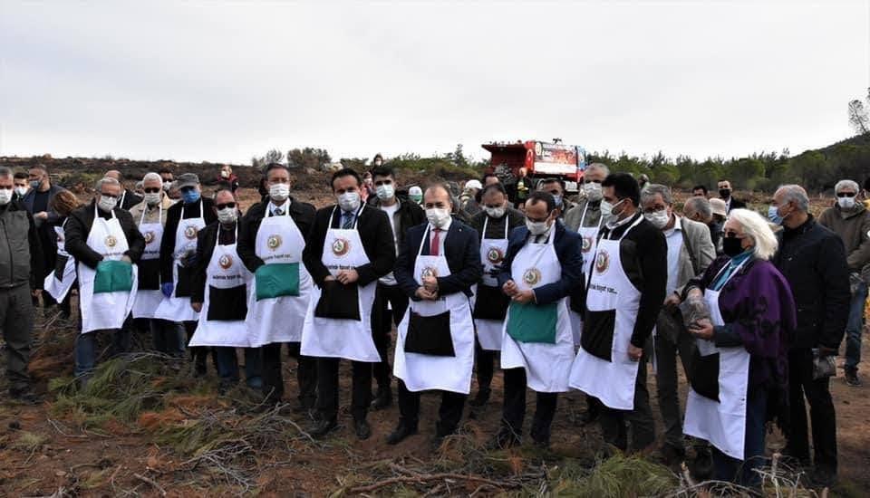 AYVALIK’TA YANAN ALANA TOHUM SAÇILDI FİDAN DİKİLDİ