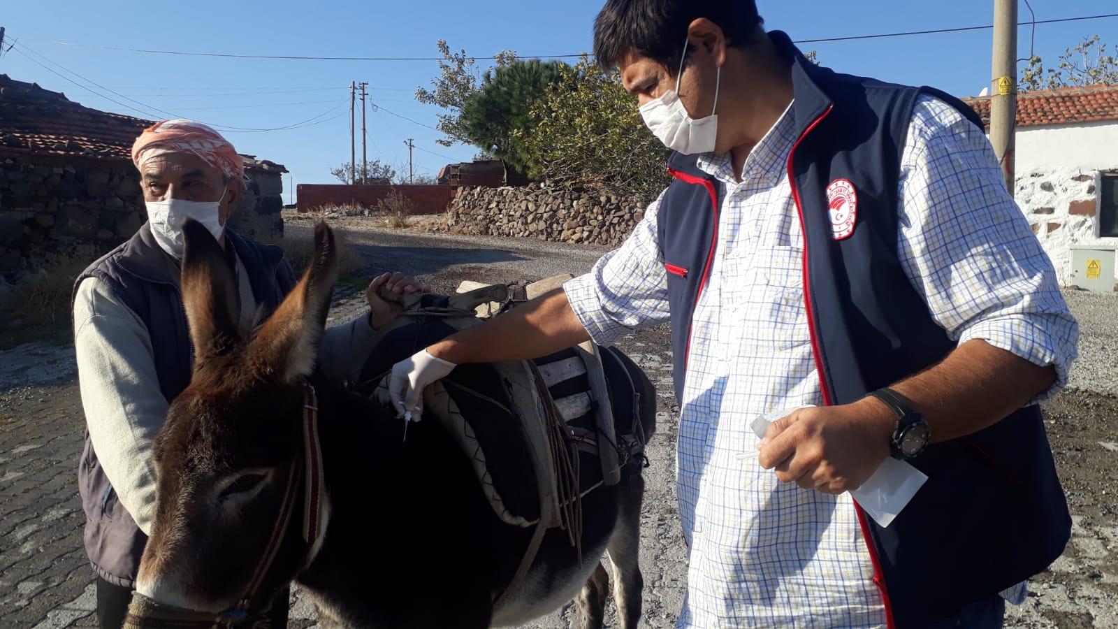 ALİAĞA’DA TEK TIRNAKLI HAYVANLARA ÇİPLİ TAKİP