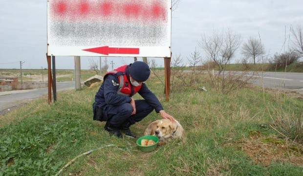 JANDARMADAN UYGULAMA SIRASINDA YANINA GELEN KÖPEĞE ŞEVKAT