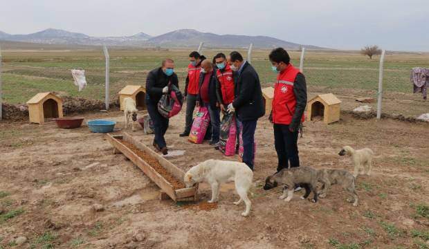 KÖPEKLERİYLE KÖYÜNDEN KOVULAN GENCE VALİ SAHİP ÇIKTI