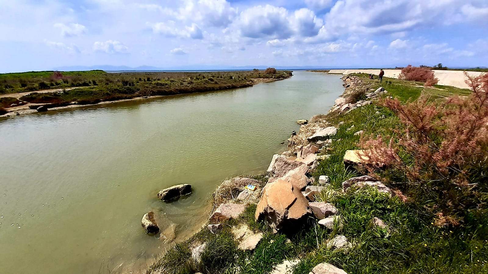 AYVALIK’TA “KARAKOÇ DERESİNİN SULAK ALAN SATÜSÜ KORUNACAK”