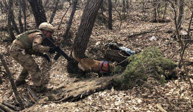 İÇİŞLERİ DUYURDU: İLKBAHAR-YAZ OPERASYONLARI BAŞLADI