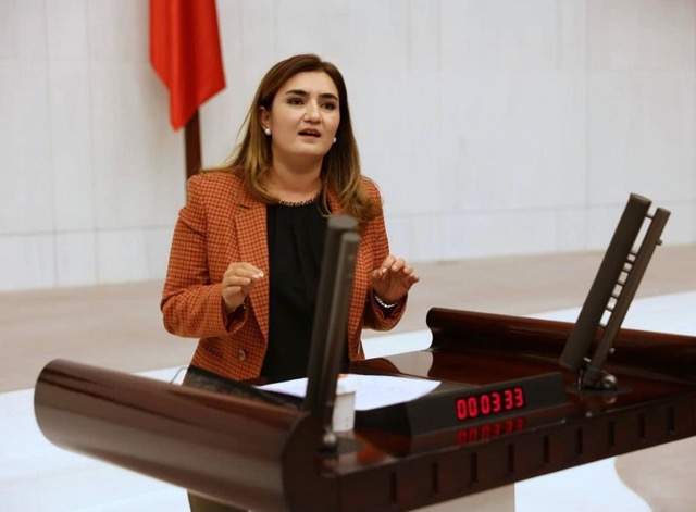 CHP İzmir Milletvekili Av. Sevda Erdan Kılıç:   “İzmir’in ciğerleri yanınca değil, yanmadan önce önlem alınsın”
