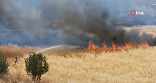 KKTC’de ekili alanda yangın: bin dönüme yakın arazi küle döndü