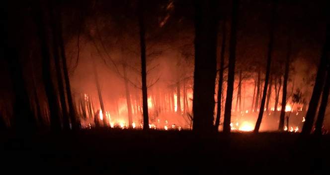 Kozan’da orman yangını kontrol altına alındı