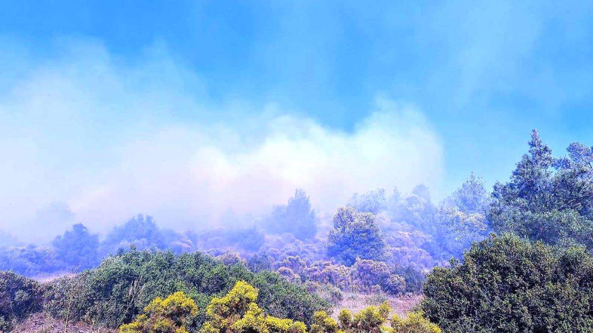 Kuyucak taki yangında 4 hektar ormanlık alan zarar gördü