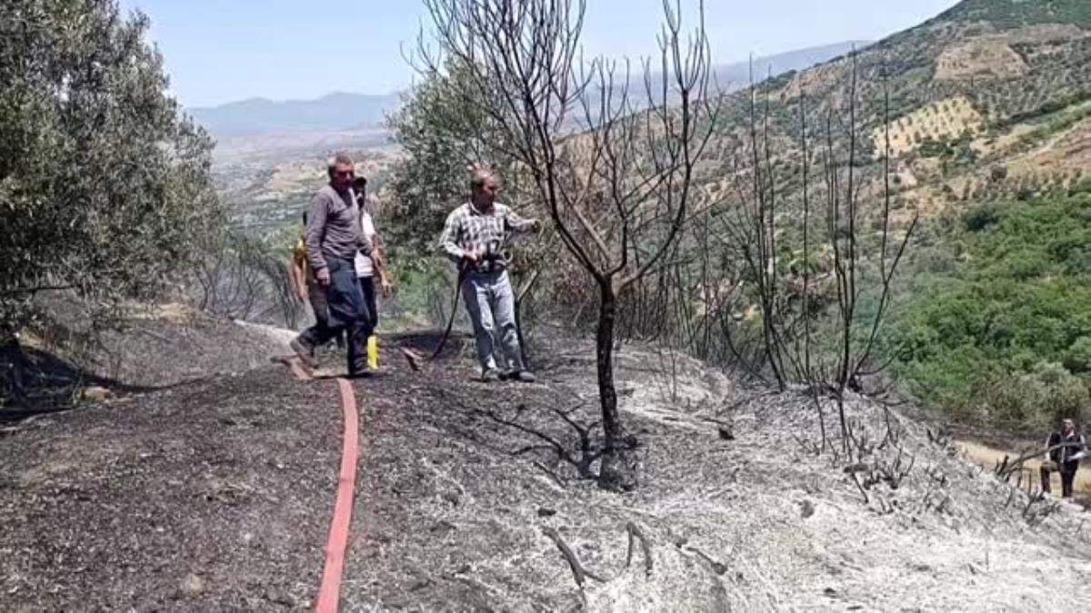 Son dakika haber… Ödemiş te orman yangını