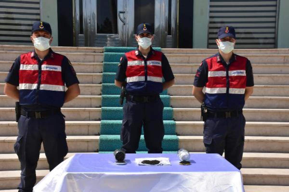 Ata tohumlarını 1000 dolardan satmak isterken yakalandı