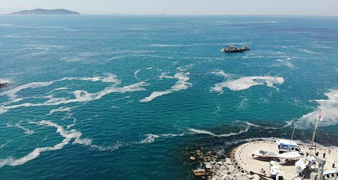 Marmara Denizi’ndeki müsilajı araştırmak için komisyon kurulmasına karar verildi