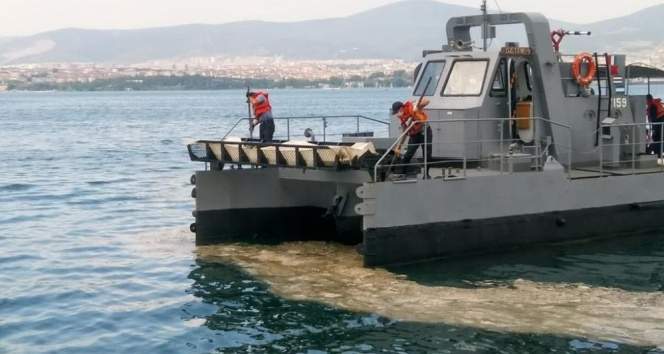 MSB: ‘Gölcük Poyraz Limanı’nda müsilaj temizleme faaliyetlerine başlanmıştır’