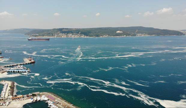 Müsilajın ‘panzehiri’ bulundu! Anında etkili oldu