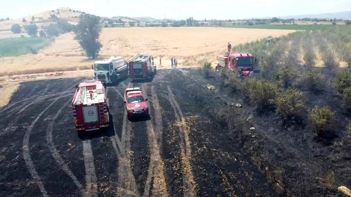 Son dakika haberleri! İzmir de büyük arazi yangını: 40 dönüm arazi kül oldu