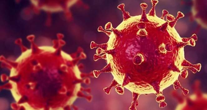 Türkiye’de son 24 saatte 6.454 koronavirüs vakası tespit edildi