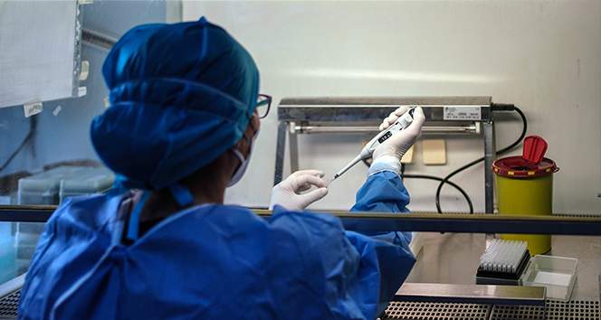ABD’de Monkeypox virüsü alarmı: 200’den fazla temaslı izleniyor