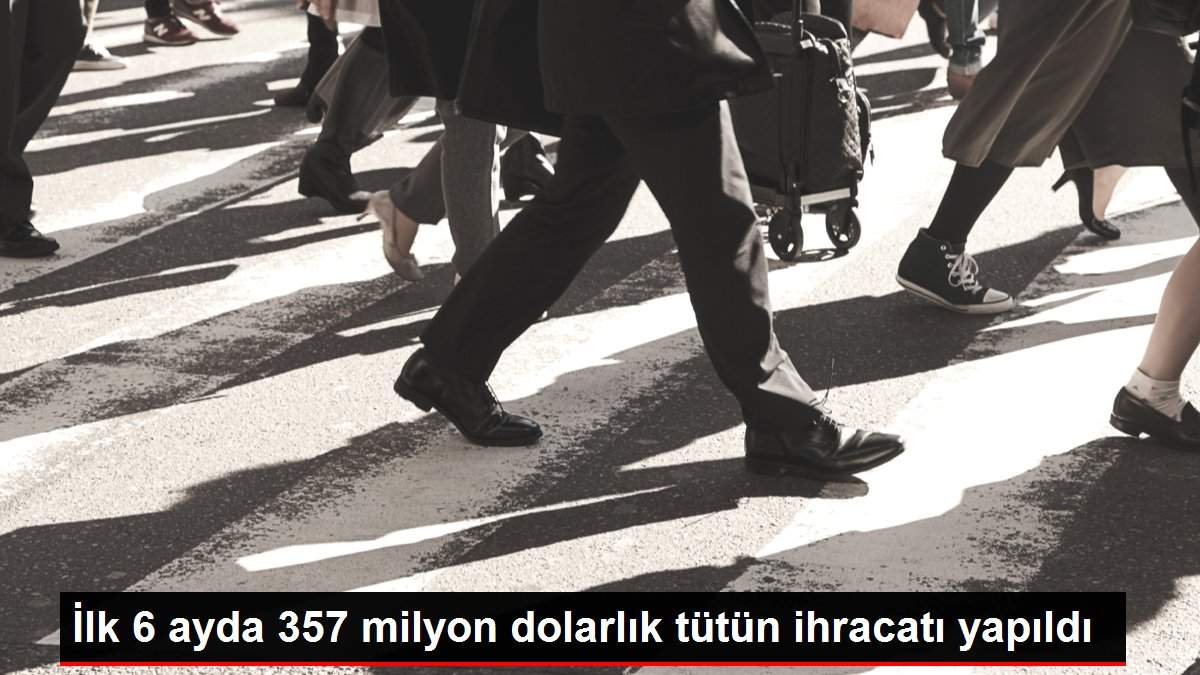 İlk 6 ayda 357 milyon dolarlık tütün ihracatı yapıldı