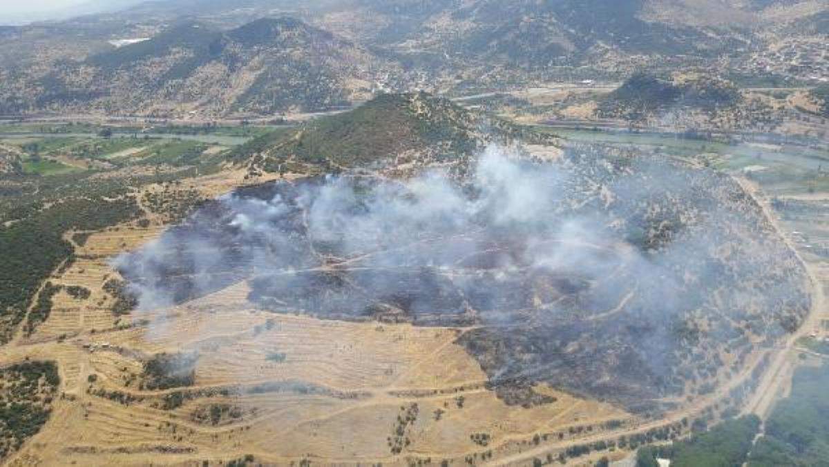 İzmir de makilik ve zeytinlik alanda yangın