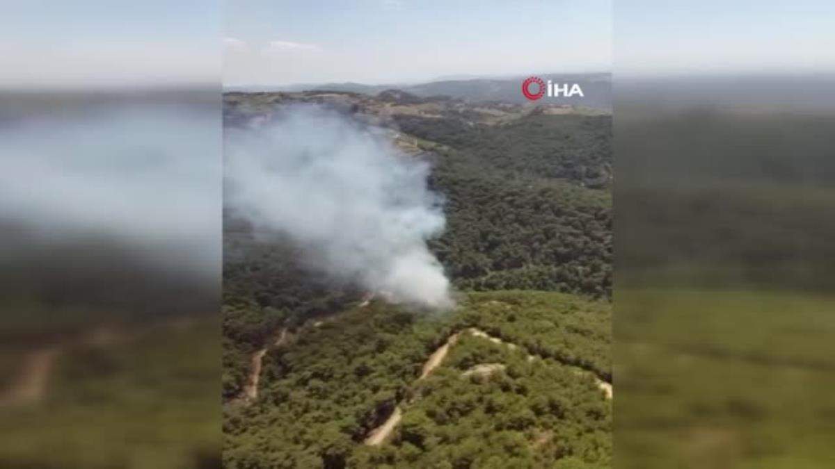 İzmir de ormanlık alanda çıkan yangın kontrol altında