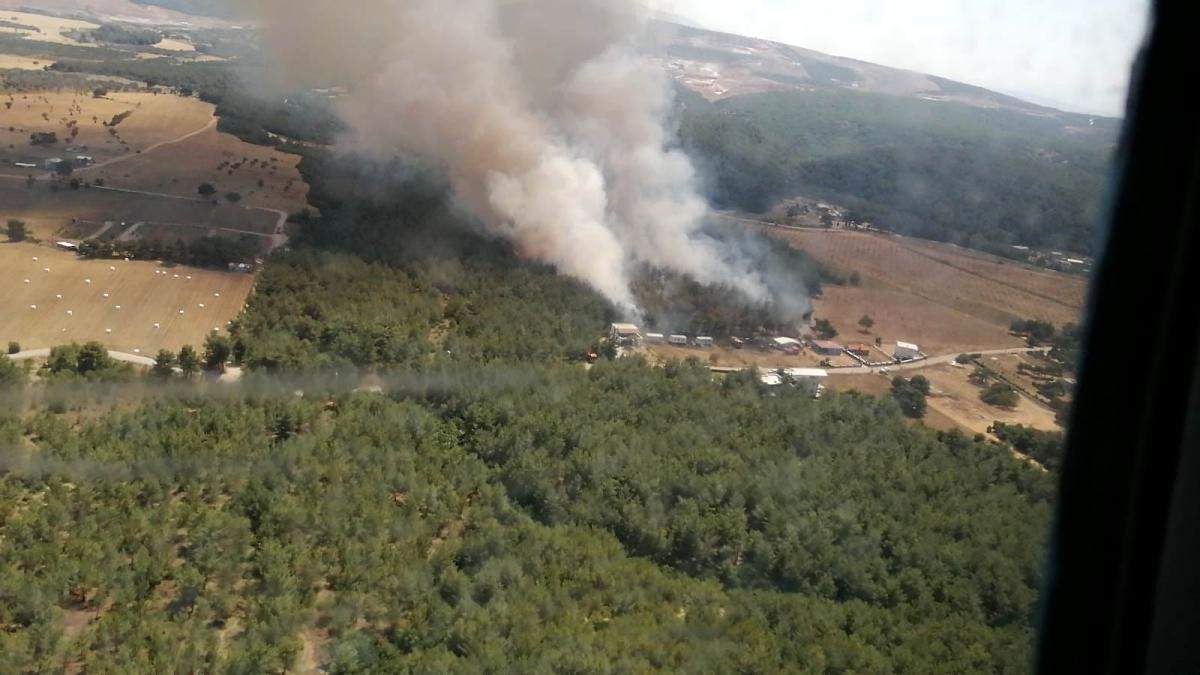İzmir deki orman yangını kontrol altında