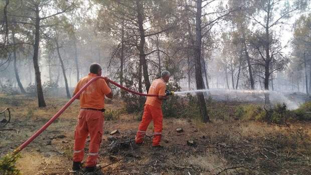 Kilis’te ormanlık alanlara giriş yasaklandı