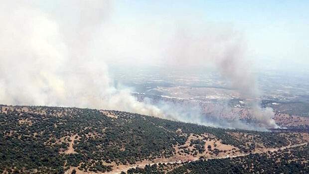 Manisa’da makilik yangını