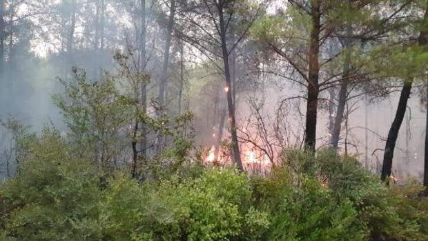 Osmaniye’deki orman yangınının 3’üncü günde hızı kesildi