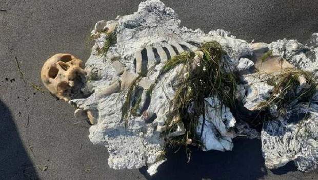 Samsun’da sahilde yürüyüş yapanlar fark etti! İskelet kıyıya vurdu