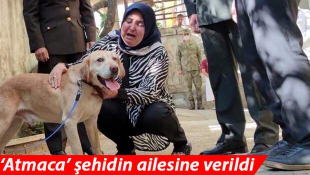 Şehit onbaşı Ahmet Akdal’ın köpeği ‘Atmaca’ şehidin ailesine verildi… Gözyaşlarına boğuldular