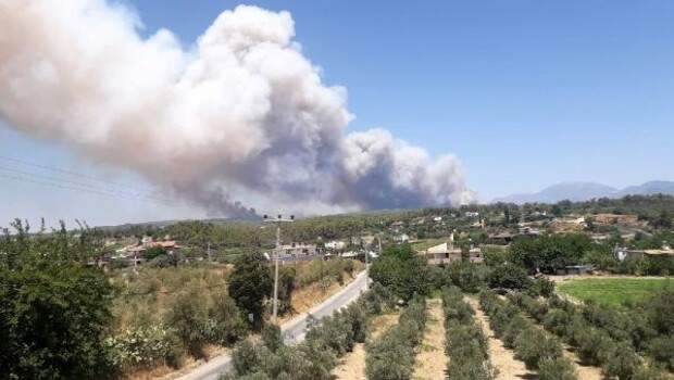 Son dakika… Antalya Manavgat’ta orman yangını