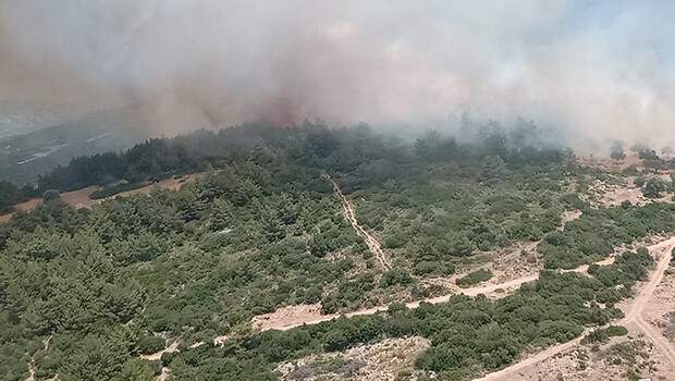 Son dakika… İzmir Karaburun’da yangın