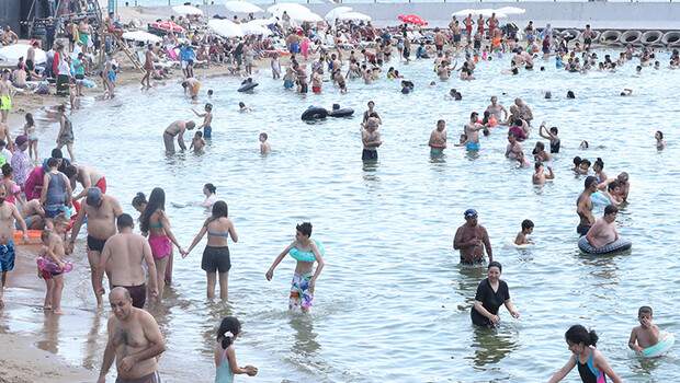 Fotoğraf bugün Caddebostan sahilinde çekildi! Akın ettiler