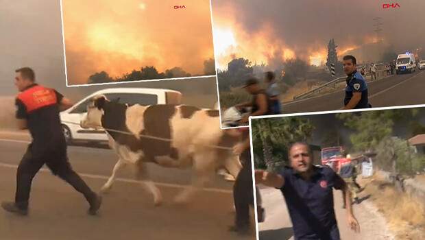 Hisarönü yangına teslim oldu… Ekipler uyarıyor, bölge halkı evlerini terk ediyor