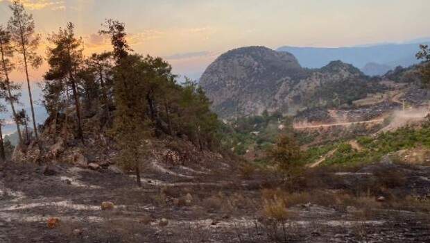 Isparta’nın Sütçüler ilçesindeki orman yangını büyük ölçüde kontrol altında