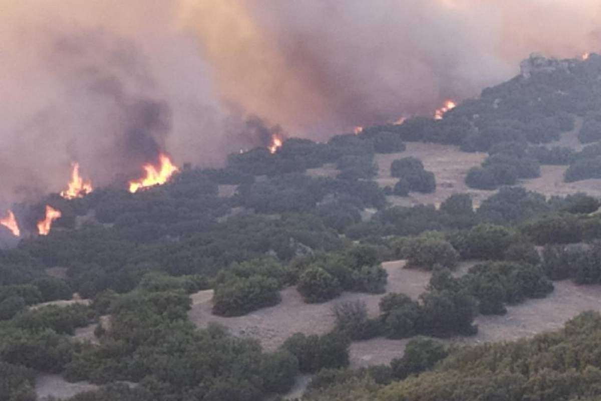 Manisa Büyükşehir Belediyesi ve MASKİ, Denizli’deki orman yangınına müdahalede bulundu