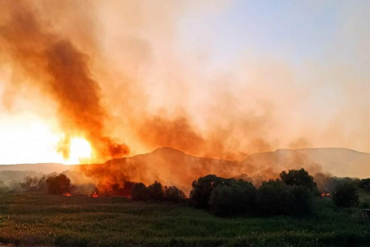 Nallıhan Kuş Cenneti’nde yangın