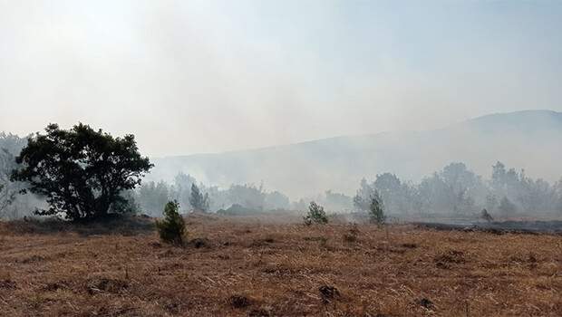 Son dakika… Balıkesir’de çıkan iki yangın kontrol altında!