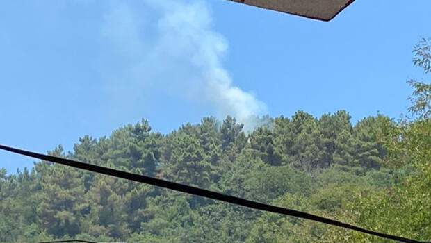 Son dakika: Beykoz’da ormanlık alanda yangın paniği