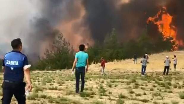 Son dakika: Denizli’de orman yangını paniği! Herkes yardıma koştu