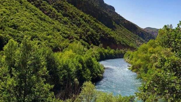 Tunceli’de 30 gün boyunca ormanlara giriş yasak