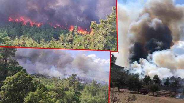Son dakika… Çanakkale’de çıkan orman yangını kontrol altında
