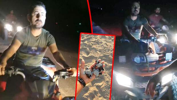 Yine ‘caretta caretta’ katliamı… ATV’lerle ezdiler