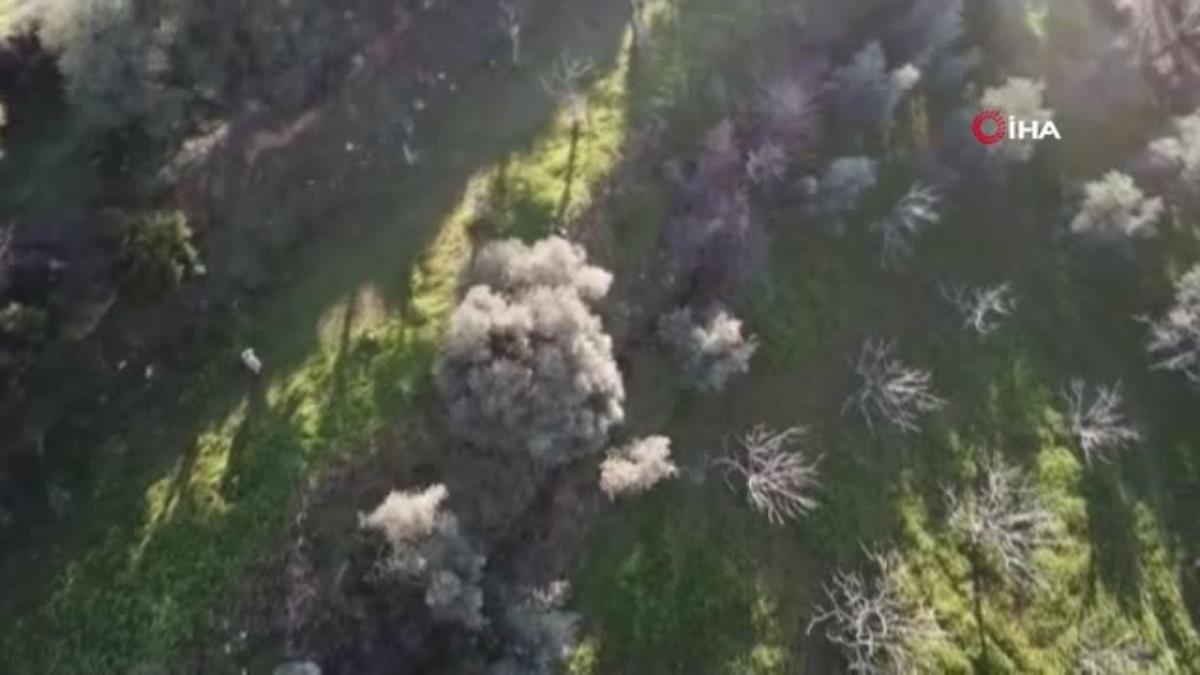 Kaybolan Alzheimer hastasını drone ile buldular