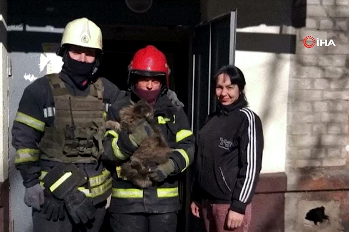Harkov’da 2 haftadır enkaz altında yaşam mücadelesi veren kedi kurtarıldı