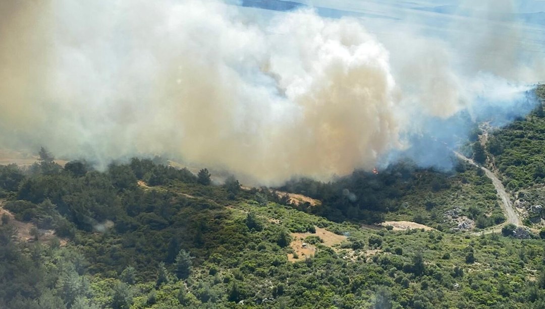 İzmir’de iki noktada çıkan orman yangınları kontrol altında