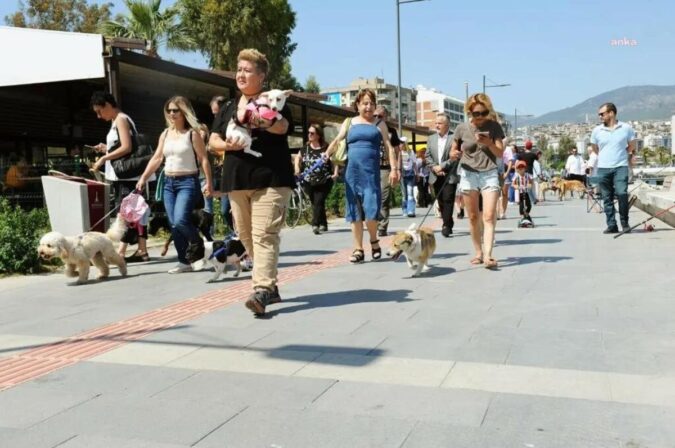 Karşıyaka Belediyesi’nden Can Dostlar İçin Farkındalık Yürüyüşü – Haberler