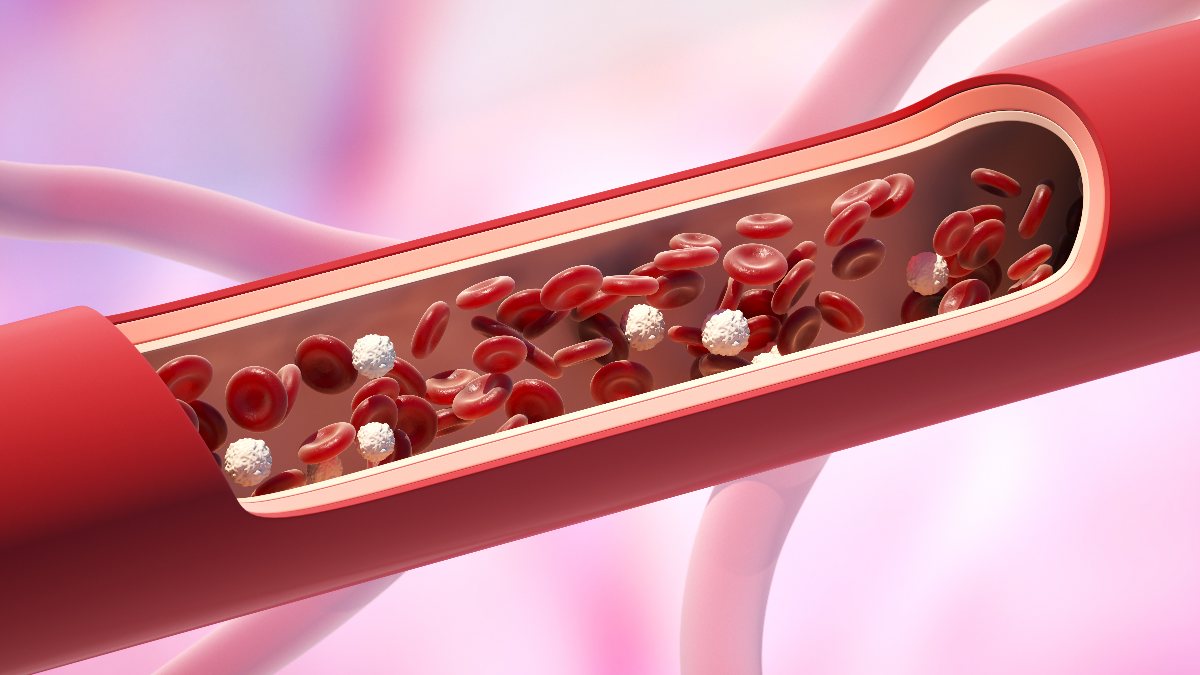 Kötü kolesterolü düşürmenin 5 etkili yolu