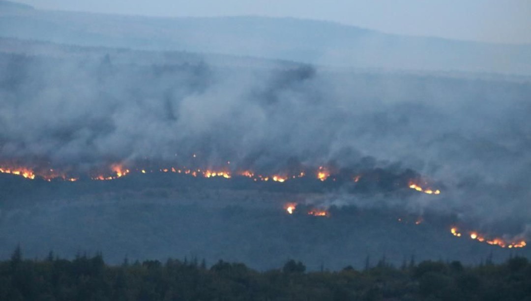 Bulgaristan’da orman yangını: Edirne’nin sınır köylerine dayandı