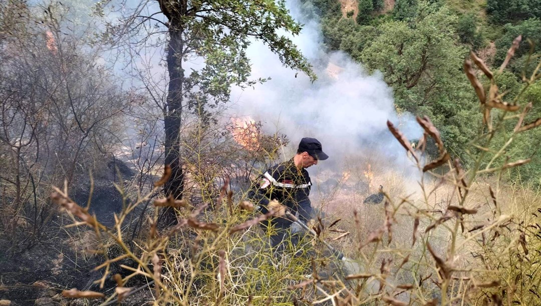 Cezayir’de orman yangınları: 26 kişi yaşamını yitirdi