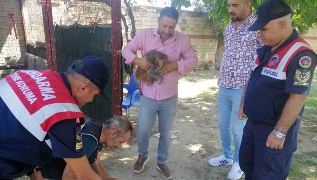 İzmir’de iki yaşındaki çocuğu maymun ısırdı